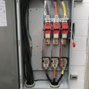 Photo of Blue Ladder Electric
