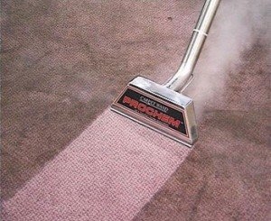 Photo of Signature Carpet Care