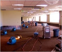 Photo of Signature Carpet Care