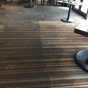 Photo of Signature Carpet Care