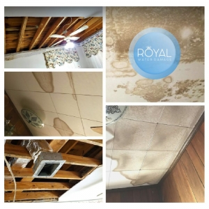Photo of Royal Water Damage