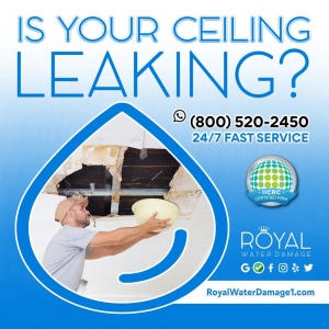 Photo of Royal Water Damage