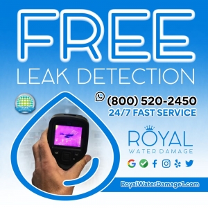 Photo of Royal Water Damage