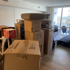Photo of Buncha Professional Movers