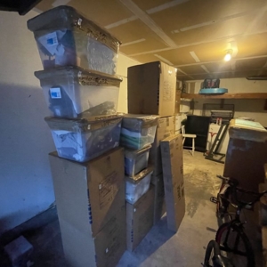 Photo of Buncha Professional Movers