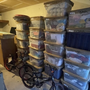 Photo of Buncha Professional Movers