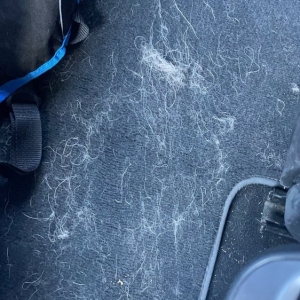 Photo of Pleasanton Hand Car Wash