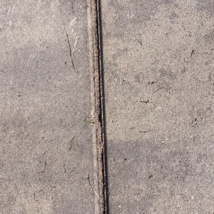 Photo of Pro Seal