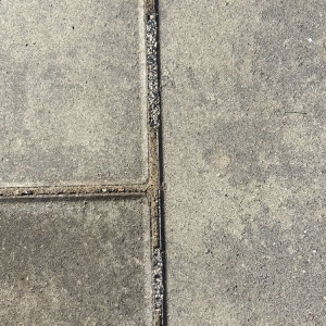 Photo of Pro Seal