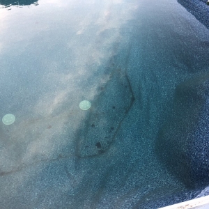 Photo of Monarch Pools & Spas