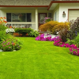 Photo of Greenwave Turf & Landscape