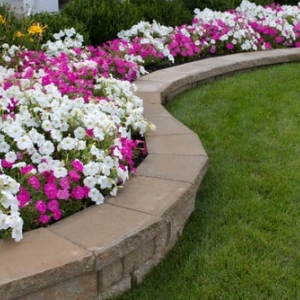 Photo of Greenwave Turf & Landscape