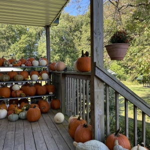Photo of Clark's Elioak Farms