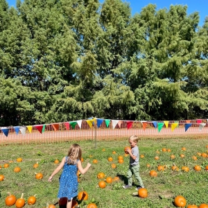 Photo of Clark's Elioak Farms