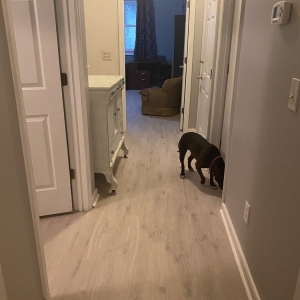 Photo of Diamond Floors