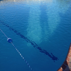 Photo of Lifeguard Pools & Spas
