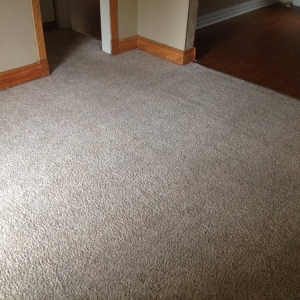 Photo of A Team Carpet Clean