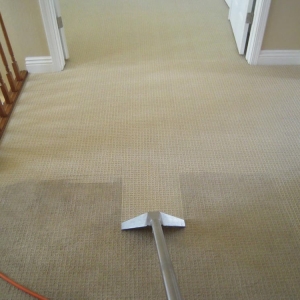 Photo of Advanced Carpet Care