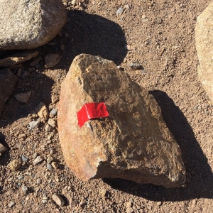 Photo of We Rock AZ
