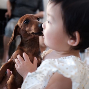 Torrance Puppies and Reptiles for Parties