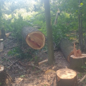 Princeton Joe's Landscaping