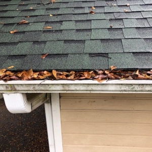 Photo of That Gutter Guy