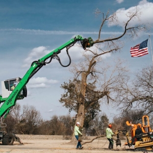 Photo of Knock on Wood Tree Services