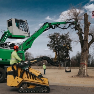 Photo of Knock on Wood Tree Services