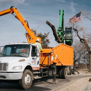 Photo of Knock on Wood Tree Services