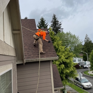 Photo of IBEX Roof - Portland