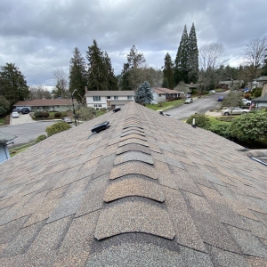 Photo of IBEX Roof - Portland