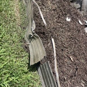 Photo of Extra Mile Lawn Care