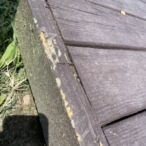 Photo of Extra Mile Lawn Care