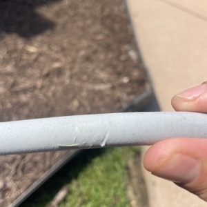 Photo of Extra Mile Lawn Care