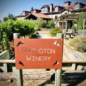 Photo of Byington Vineyard & Winery