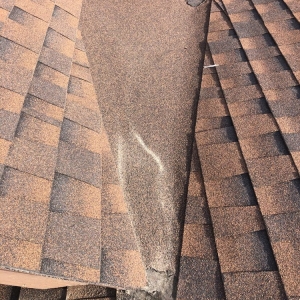 Photo of AGL Roof