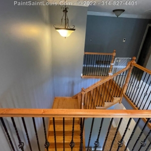 Photo of Paint Saint Louis