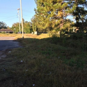 Photo of AAA Livingston Property Services