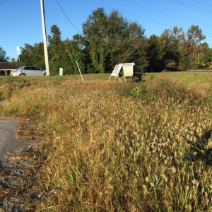Photo of AAA Livingston Property Services