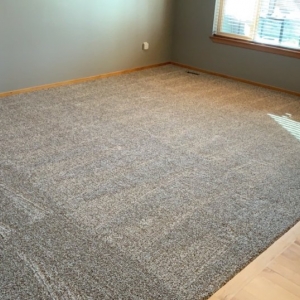 Photo of Abbey Van Dam Carpet and More