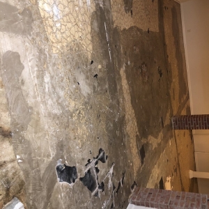 Photo of Edwards Carpet & Floor Center