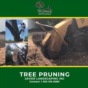 Photo of Javier Landscaping Inc