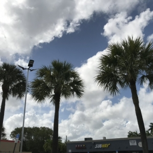 Photo of Javier Landscaping Inc