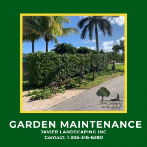 Photo of Javier Landscaping Inc