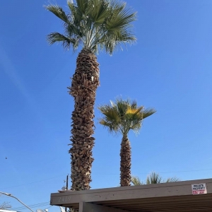 Photo of GreenerView Landscaping
