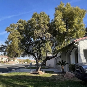 Photo of GreenerView Landscaping