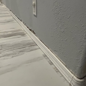Photo of Northwest Integrity Floors