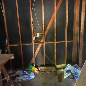 Photo of Larry's Handy Services