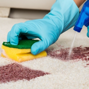Photo of Hendersonville Carpet Crew
