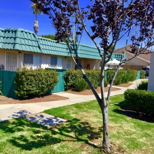 Photo of Grove Terrace Apartments
